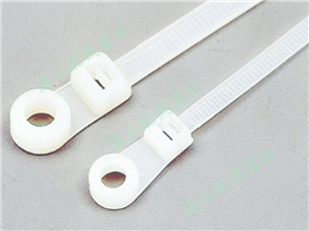 固定锁式扎线带